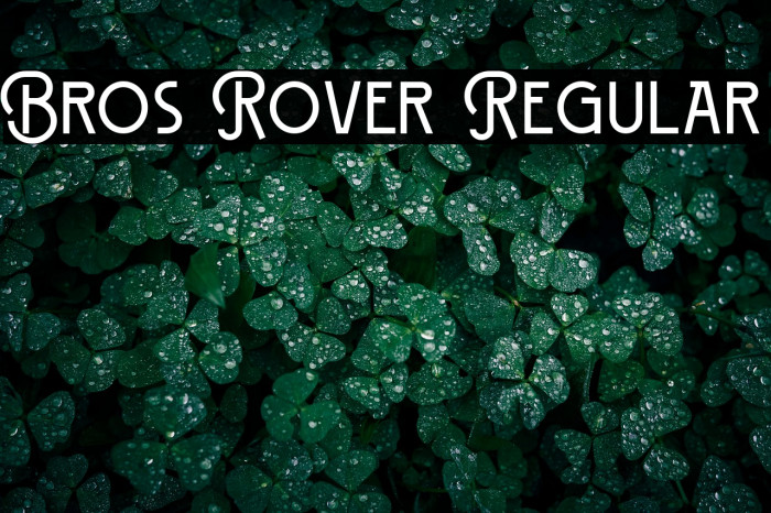 Bros Rover Regular Example 3