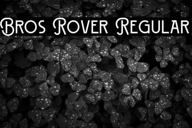 Bros Rover Regular Font examples