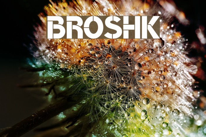 BroshK Example 1