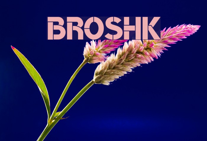 BroshK Example 2