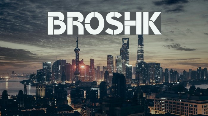 BroshK Example 3