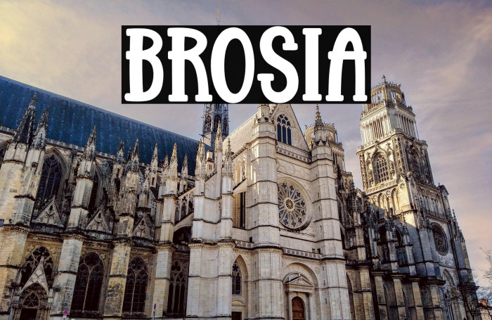 Brosia Example 3