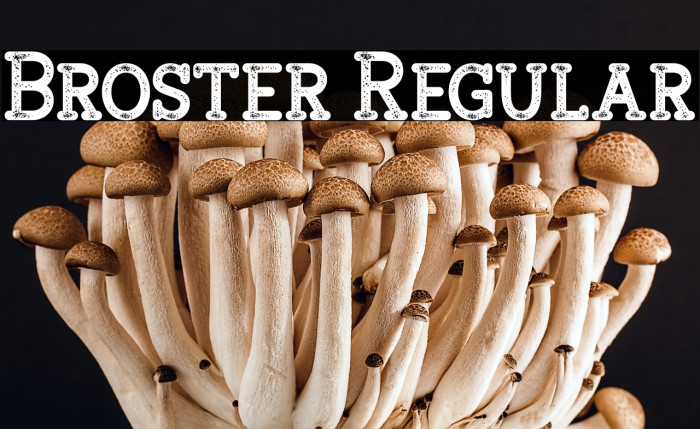 Broster Regular Example 1