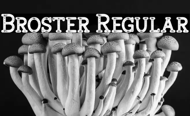 Broster Regular Font examples