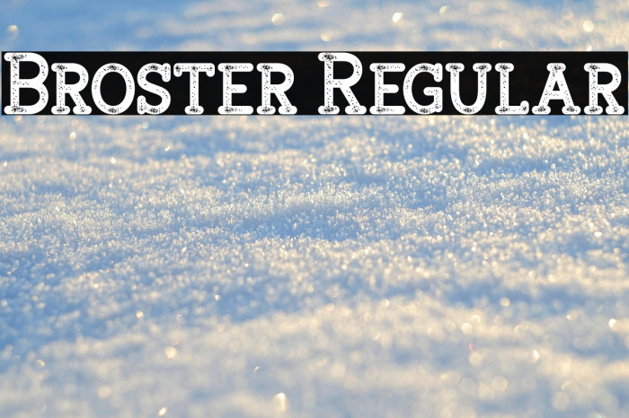 Broster Regular Example 3