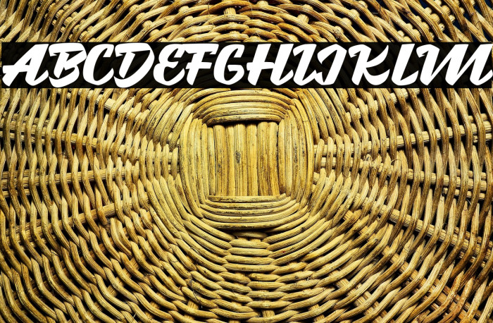 Brotha Script Example 2