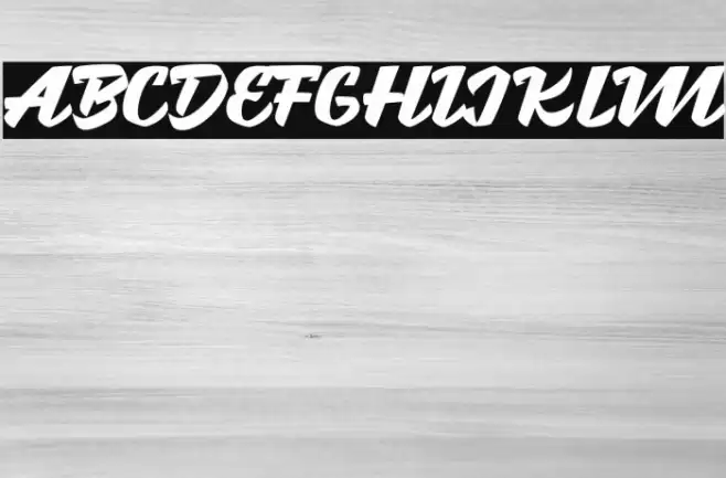 Brotha Script Font examples