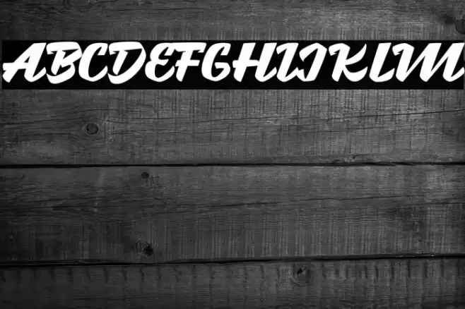 Brotha Script Font examples