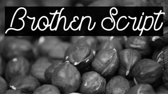 Brothen Script Font examples
