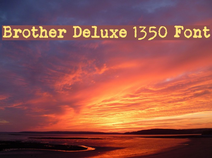 brother deluxe 1350