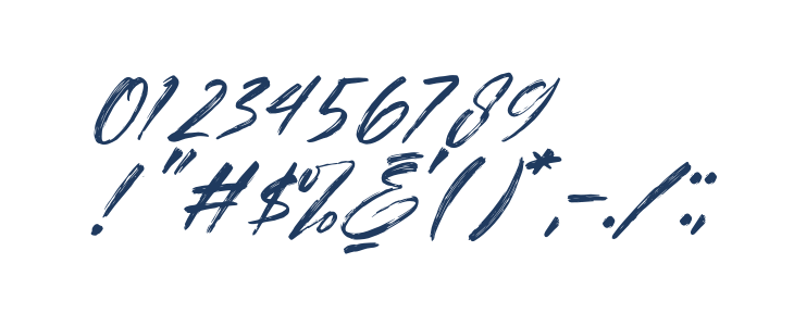 Brother Italic Other Characters