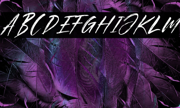 Brother Italic Example 1