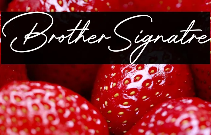 Brother Signature Example 3