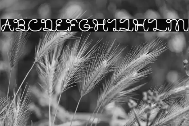 Brother Font examples