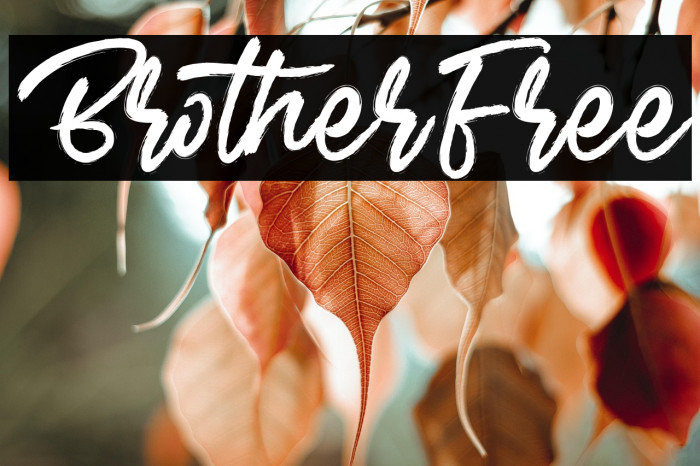 BrotherFree Example 2