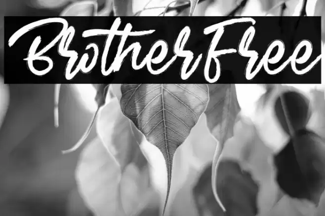 BrotherFree Font examples