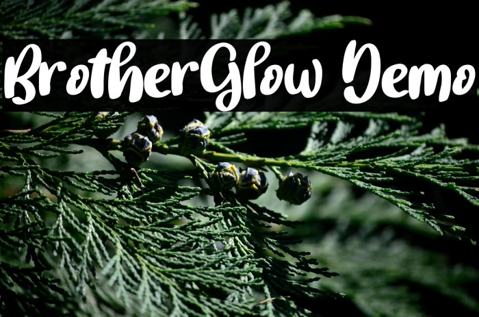 BrotherGlow Demo Example 3