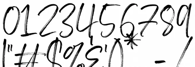 BrotherHomeDemoVersion Font OTHER CHARS