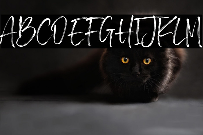 BrotherHomeDemoVersion Example 2