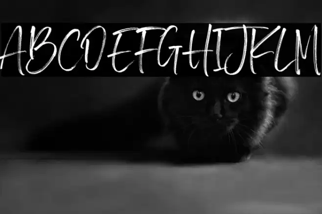 BrotherHomeDemoVersion Font examples