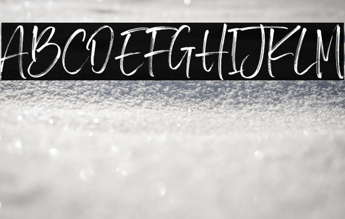 BrotherHomeDemoVersion Example 3