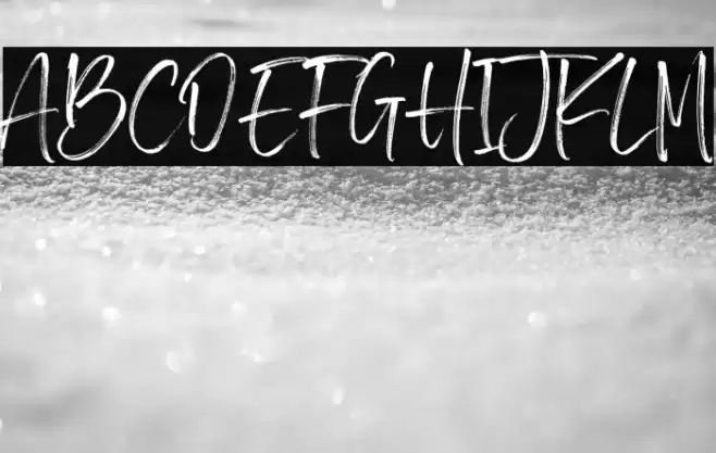 BrotherHomeDemoVersion Font examples