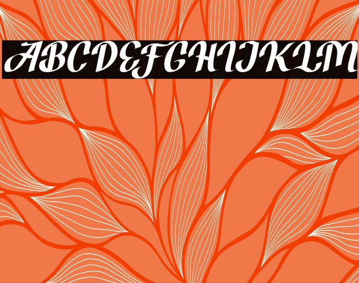 BrotherZoned-Italic Example 1