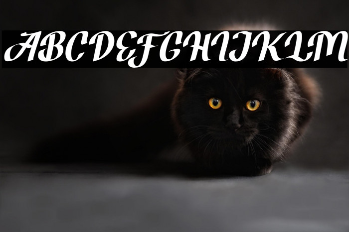 BrotherZoned-Italic Example 2