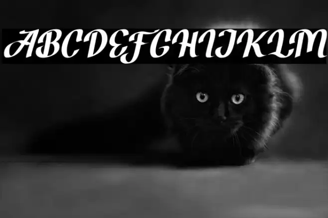 BrotherZoned-Italic Font examples