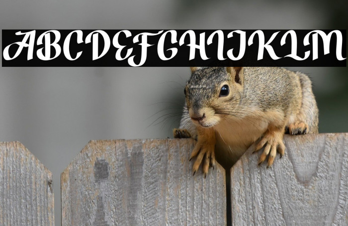 BrotherZoned Example 2