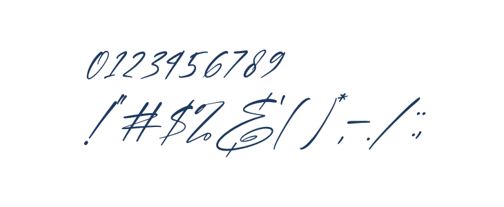 Brotherdam Signature Italic Other Characters