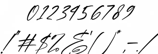 Brotherdam Signature Italic Font OTHER CHARS