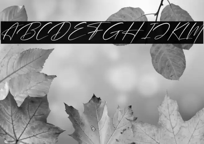 Brotherdam Signature Italic Font examples