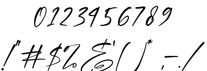 Brotherdam Signature Font OTHER CHARS