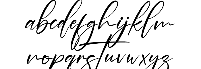 Brotherdam Signature Font LOWERCASE