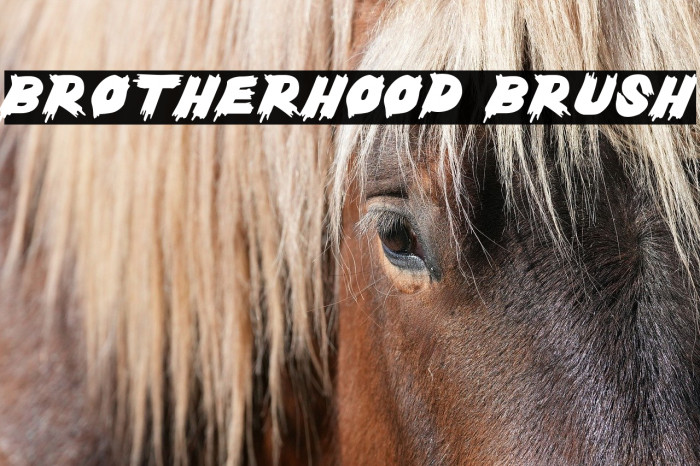Brotherhood Brush Example 3