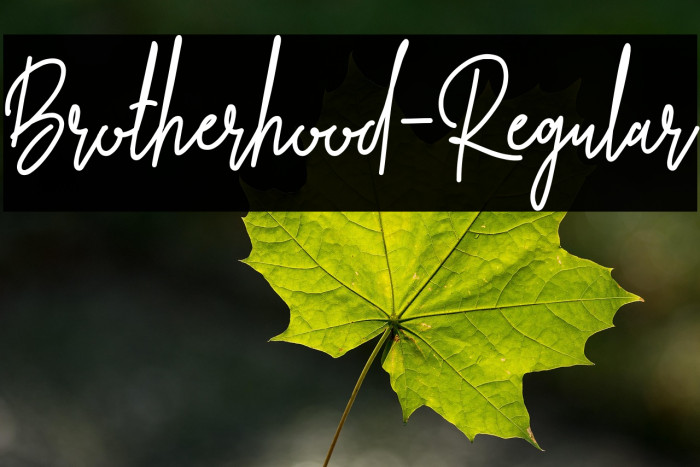 Brotherhood-Regular Example 1