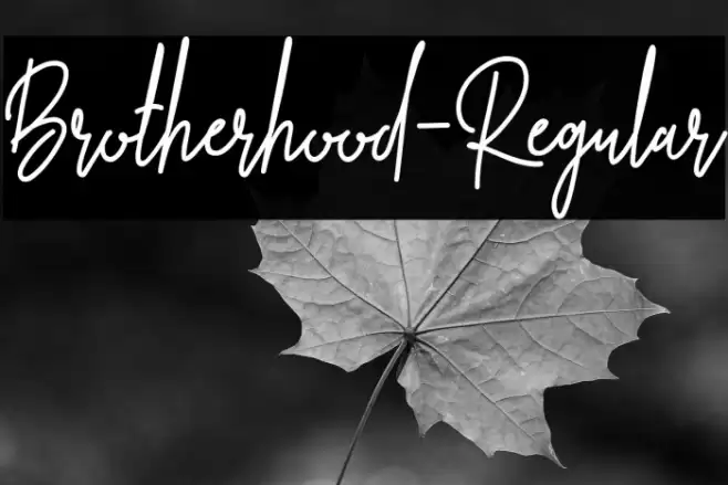Brotherhood-Regular Font examples