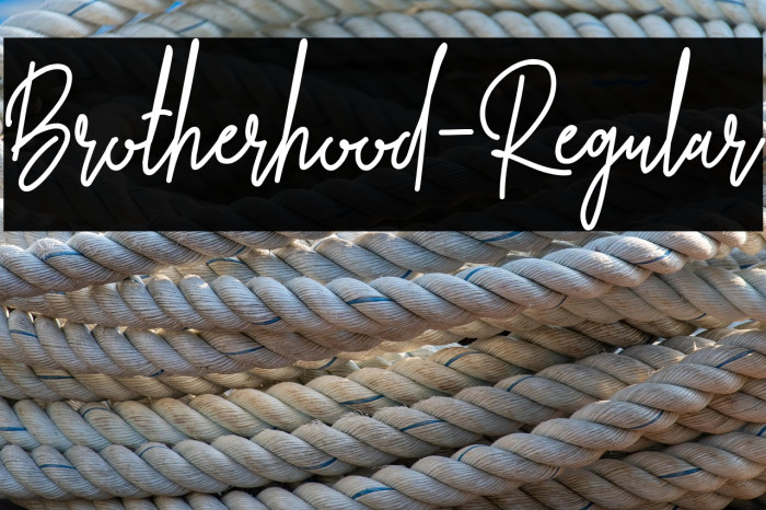 Brotherhood-Regular Example 2