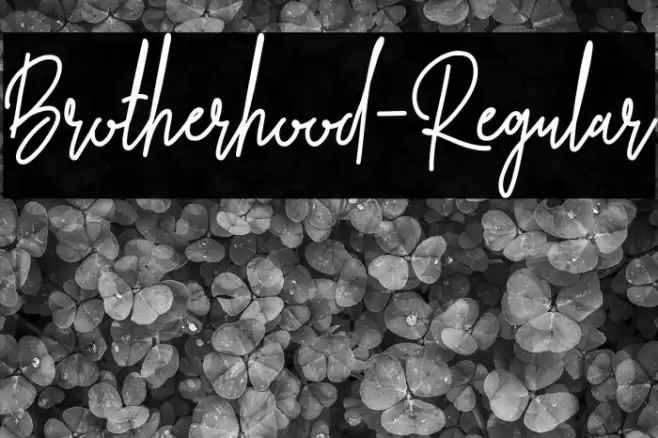 Brotherhood-Regular Font examples