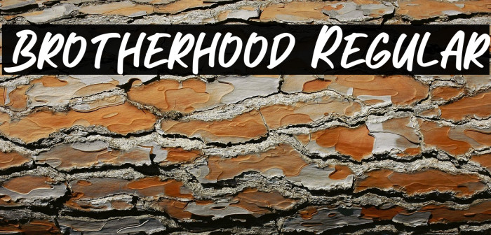 Brotherhood Regular Example 1