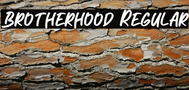Brotherhood Regular Example 1