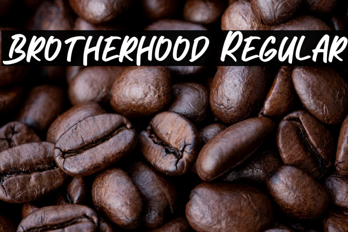 Brotherhood Regular Example 2