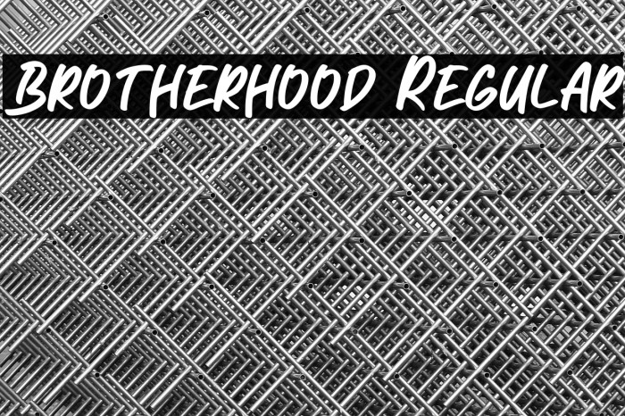 Brotherhood Regular Example 3