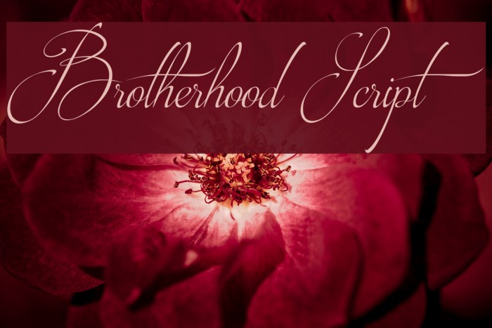 Brotherhood Script Font examples