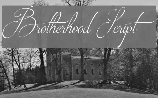 Brotherhood Script Font examples