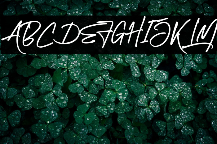 Brotherhood Example 2