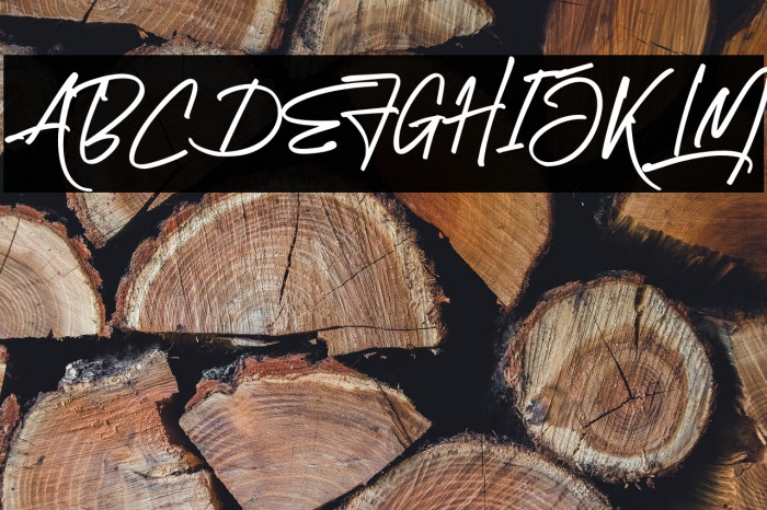 Brotherhood Example 3