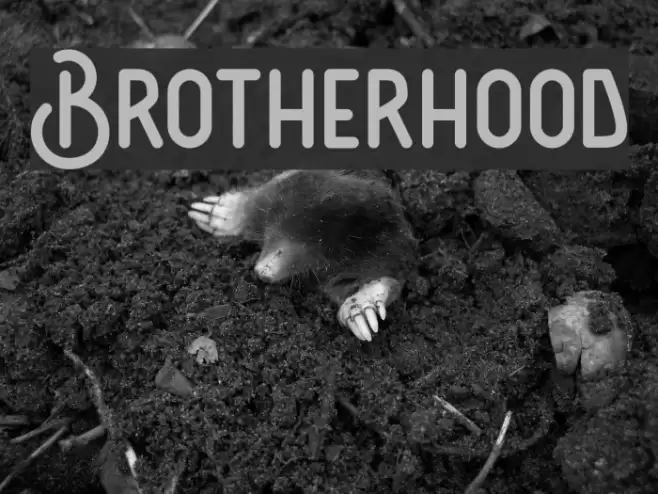 Brotherhood Font examples