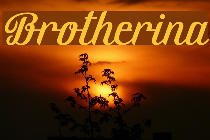 Brotherina Font examples